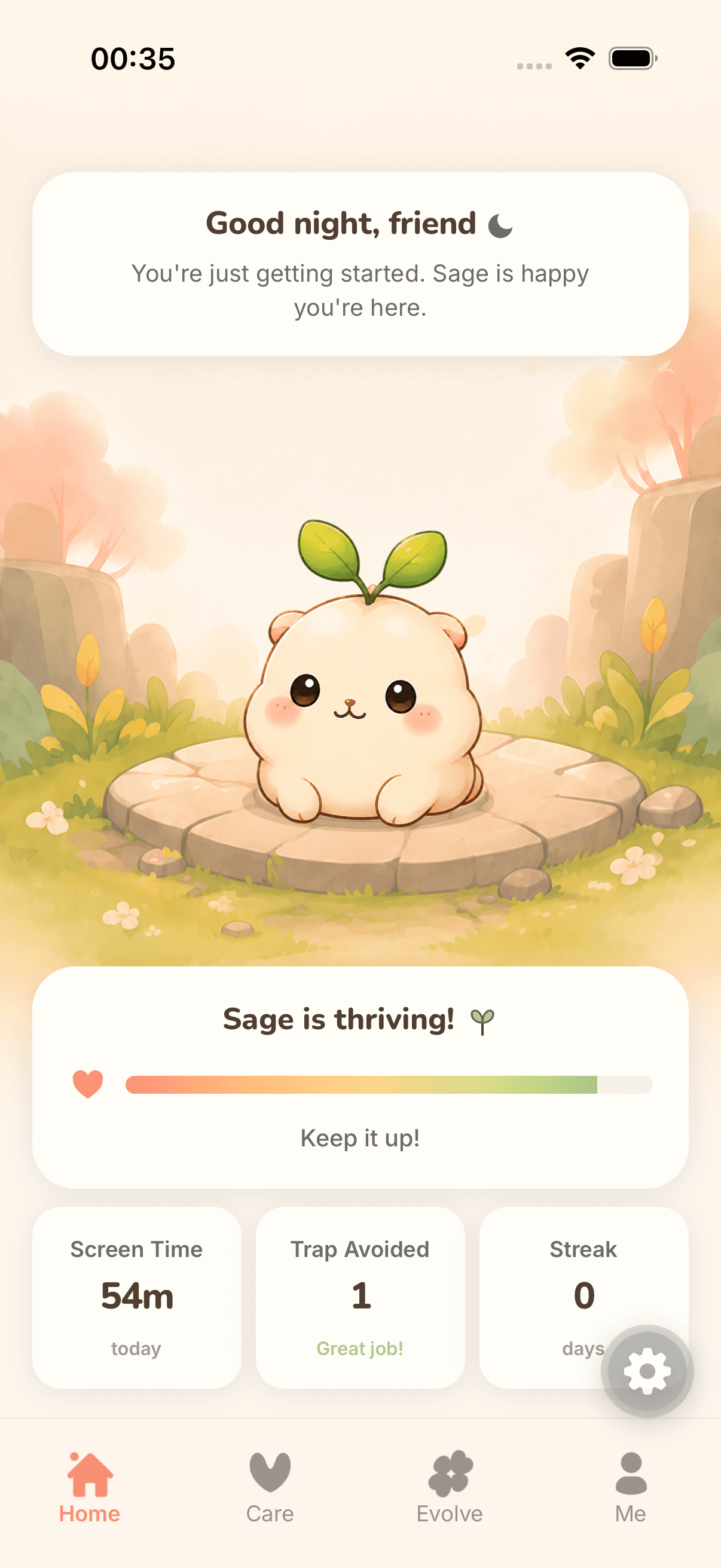 Home screen with mood and screen time